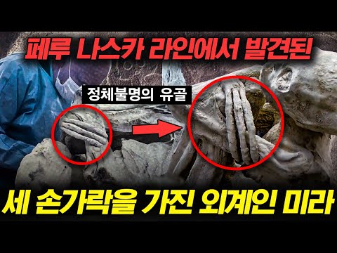 [#프리한19] (100분) 나사의 중대 발표 👽 미스터리한 괴생명체 존재! 외계인 목소리 파일 최초 공개 ⁉️