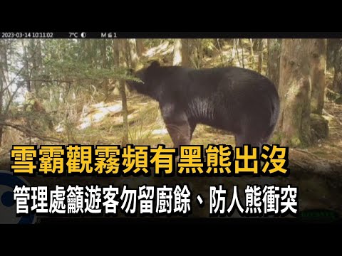雪霸觀霧黑熊出沒　雪管處籲遊客攜帶「熊鈴」保平安－民視新聞