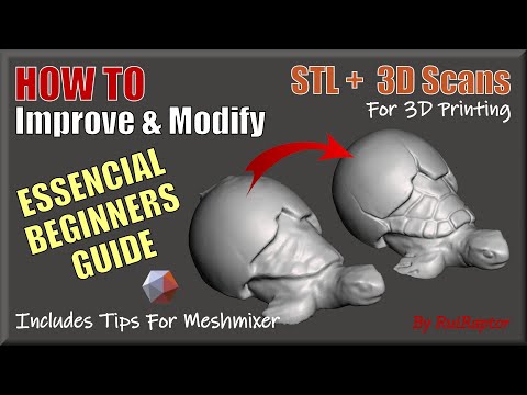 Essential Guide To Start Editing Your STL & 3D SCAN Models 👉 For 3D Printing