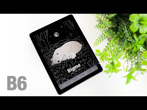 Bought a COMPACT COLOR READER Bigme B6 on Android 14