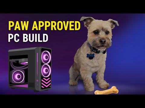 My Dog Chose My Next PC Build…