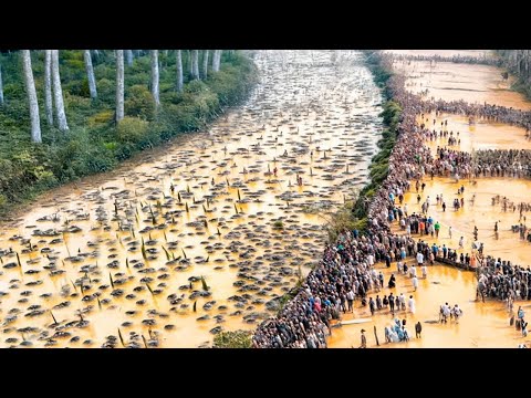 Они Выбросили Тысячи Тонн Банановой Кожуры в Лес, Год Спустя Результат Был Неожиданным