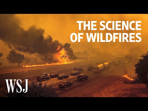 The Science of Wildfires: Why They're Getting Worse | WSJ