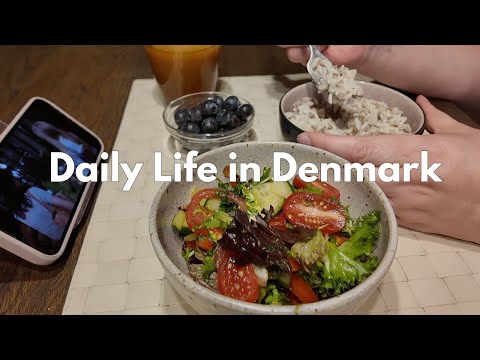 Daily LIFE in Denmark 🇩🇰 A Quiet Day Off of a Working Woman|vlog 1