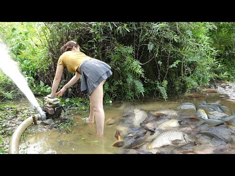 Greatest Fishing: How To Catch Fish In The Wild, Catch a Lot Of Fish And Mussels Underneath The Mud