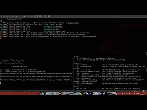Shopify - Live Bug Bounty Hunting on Hackerone ( This video is just for educational purpose )