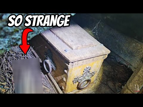 DELIBERATE or DISTURBED?