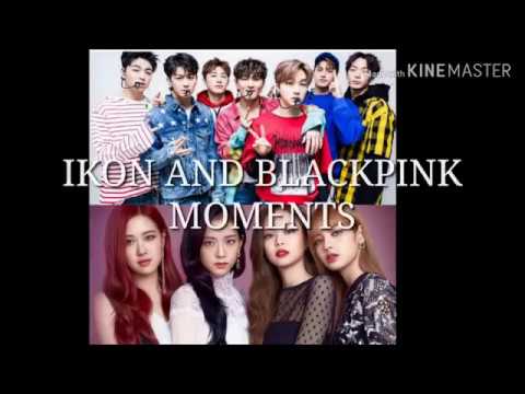 IKONPINK MOMENTS
