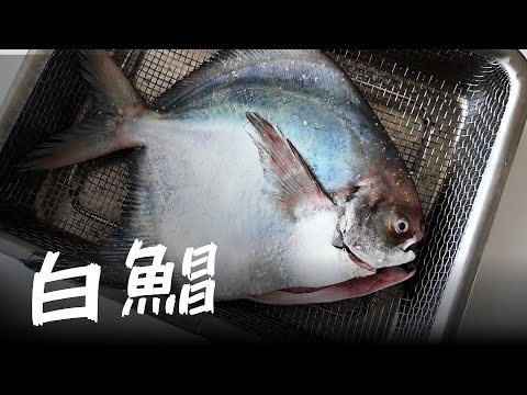 幫我看看,我買的「白鯧」是台灣現撈的..還是海外進口?台灣人應該很少吃「白鯧生魚片」!