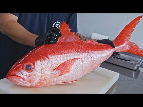 Long Tail！Giant Red Diamond Fish Cutting Skills, Fish Stew, Sashimi/ 巨大長尾鳥！ 絲尾紅鑽魚切割技巧, 生魚片, 燉魚煲