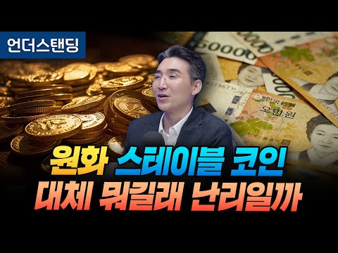 원화 스테이블코인, 대체 뭐길래 난리일까 (한양대 파이낸스경영학과 강형구 교수)
