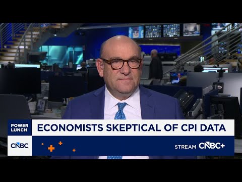 Why economists are skeptical of November's CPI data