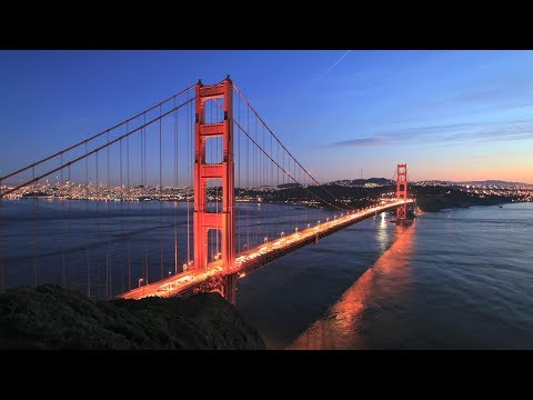 The Role of Business Leaders in the Age of Climate Change