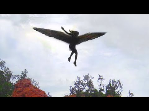 Camera Captures What No One Was Supposed To See