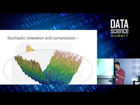 Opening the Black Box of Deep Neural Networks via Information - Ravid Ziv