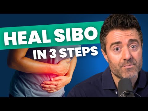 The MOST Effective SIBO Treatments