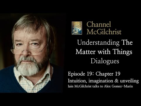 Understanding The Matter with Things Dialogues Episode 19:Ch.19 Intuition, imagination and unveiling