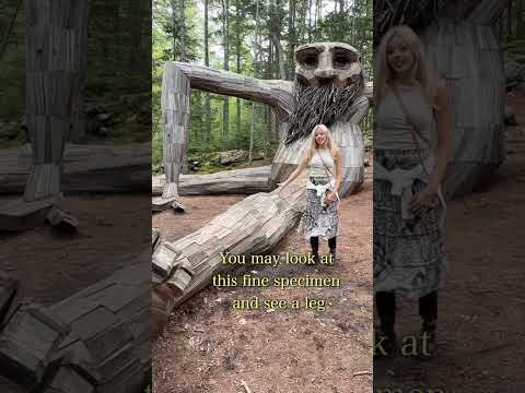 The Shocking Truth Behind The Trolls #trolls #thedanesarecoming