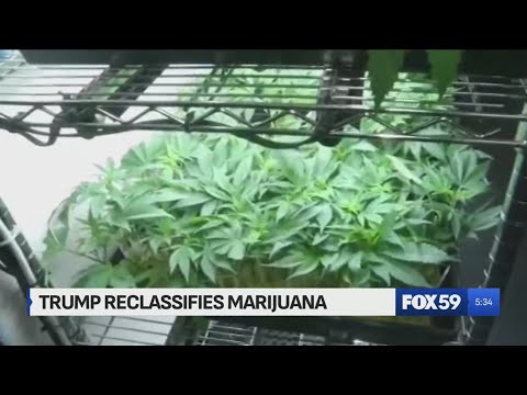 President Trump signs Executive Order reclassifying marijuana