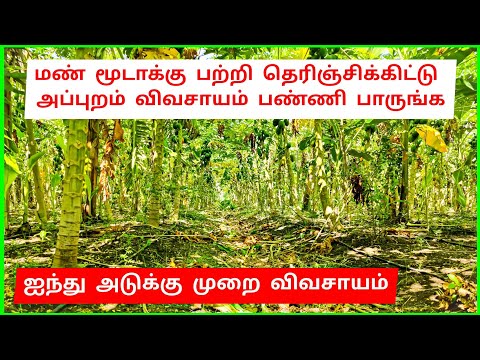 மண் மூடாக்கு பற்றி தெரிஞ்சிக்கிட்டு அப்புறம் விவசாயம் பண்ணிபாருங்க | soil mulching