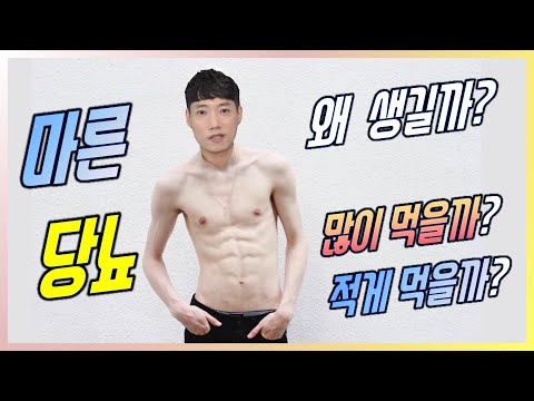 마른 당뇨 l 비비만성 당뇨병의 원인과 치료 l 닥터딩요