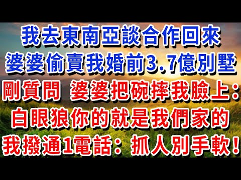 我去東南亞談合作回來，婆婆偷賣我婚前3.7億溫泉別墅，我剛質問，婆婆把碗摔我臉上：白眼狼你的就是我們家的，丈夫附和：你別無理取鬧！我冷笑撥通神秘號碼：抓人！別手軟！#書婷講故事#說故事#完結文