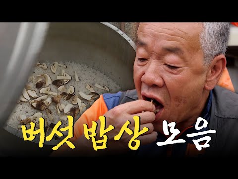 “이거만 먹어도 보약이에요.” 🍄버섯꾼이 말아주는 버섯 밥상 모음집 Korean Food｜KBS 방송