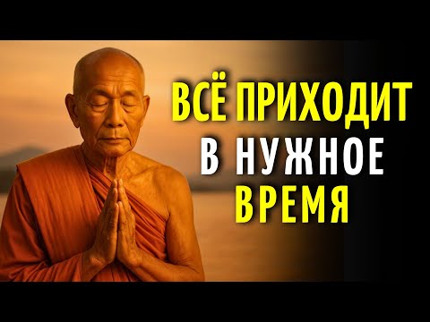 Всё происходит в своё время | Буддийская мудрость, чтобы доверять ритму жизни
