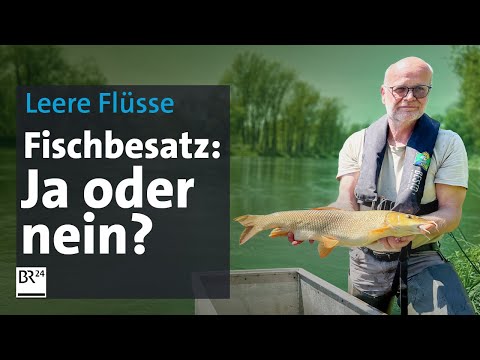 Künstlicher Fischbesatz: Retten wir so unsere Flüsse? | Die Story | Kontrovers | BR24
