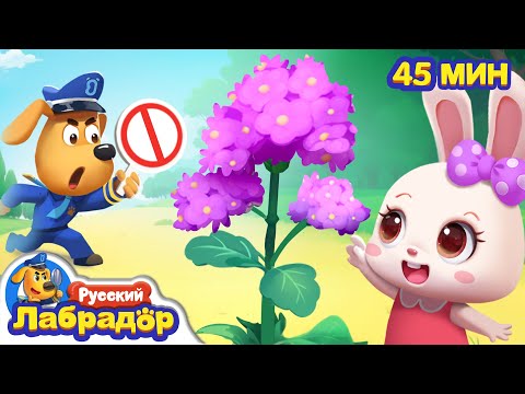 Не трогайте дикие растения!｜Безопасность детей｜Сборник образовательных мультиков｜Шериф Лабрадор