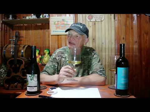 Интрига в сравнении двух алиготе Усадьба Перовских" Алиготе, Лимитированная серия, 2019 и  Узунов.