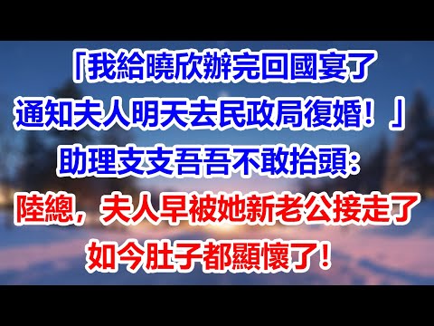 「我給曉欣辦完回國宴了，通知夫人明天去民政局復婚！」助理支支吾吾不敢抬頭：陸總，夫人早被她新老公接走了，如今肚子都顯懷了！#為人處世#生活經驗#情感故事#故事#小說#戀愛#情感#婚姻