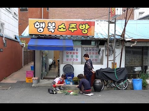 (순천)주인 맘대로 소주방! 이모님 기분 좋으면 흑산도 홍어를 2만원에 주셔요~[맛있겠다 Yummy]