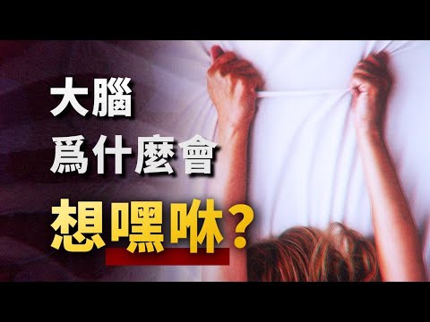 腦子全是「性幻想」，反映了什麼精神狀態？不管是否戀愛，都該了解的性心理學