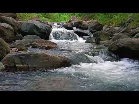 Natural Sounds to Focus on Studying, Relieve Stress, Calming Nature Sounds for Focus, ASMR