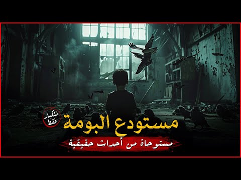 (للكبار فقط) فتى مصري يتم اختطافه في إحدى الدول وما يحدث معه غريب ومرعب للغاية داخل مستودع البومة !!
