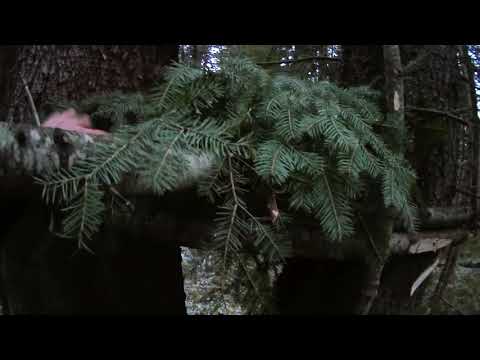 Fishing 2020-2021*Hunting on Sable*Mini kulema IS a very CATCHY TRAP*