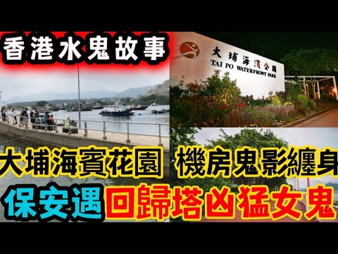 香港•水鬼故事(42)純人聲 | 大埔海賓花園 | 機房鬼影纏身 | 保安員•回歸塔邪遇•凶猛女厲鬼 | 石澳•人頭骨 | 殯儀火葬場•冷知識#鬼故 #灵异故事 #ghost #怪談#奇聞怪事