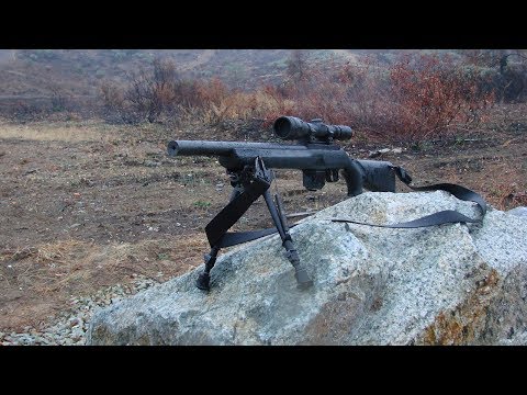 The Survivalist's Ultimate Rifle