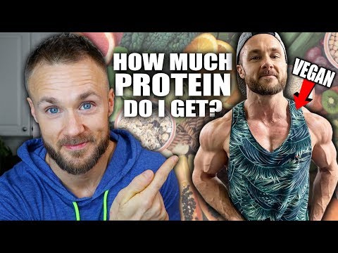 THE TRUTH ABOUT PLANT PROTEIN🌱💪