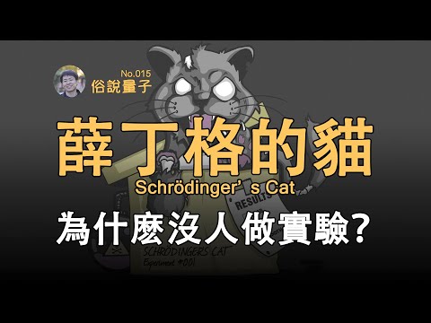 【俗說量子】為什麽沒有人做「薛丁格的貓」實驗？Schrödinger's Cat | Linvo說宇宙