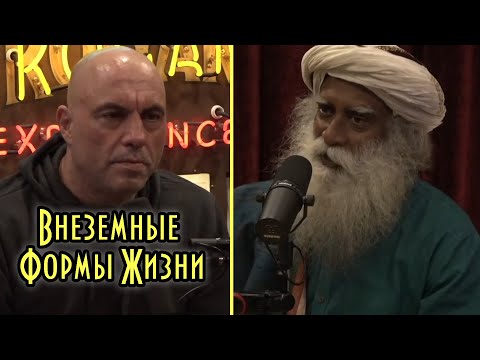 Джо Роган И Садхгуру Беседуют О Внеземных Формах Жизни