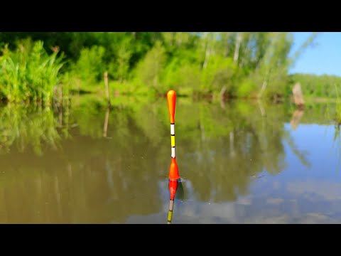 ОЧЕНЬ УЛОВИСТАЯ ПОПЛАВОЧНАЯ СНАСТЬ.  КРУПНЯК ПОДОШЁЛ НА ПРИКОРМКУ