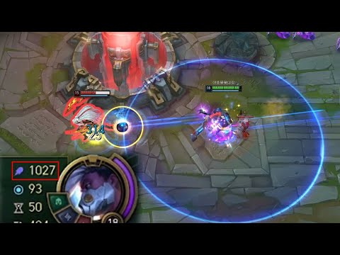 주문력1000 에코