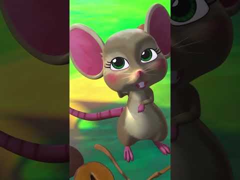 Kawan-kawan ada tak best friend macam ni? Sentiasa berdua bersama #PadaZamanDahulu #Lescopaque