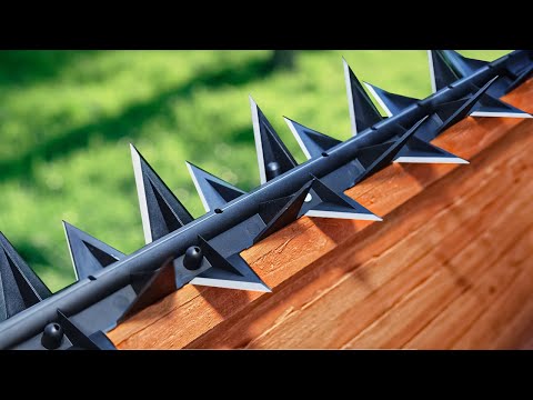 HOME DEFENSE GADGETS ON AMAZON!