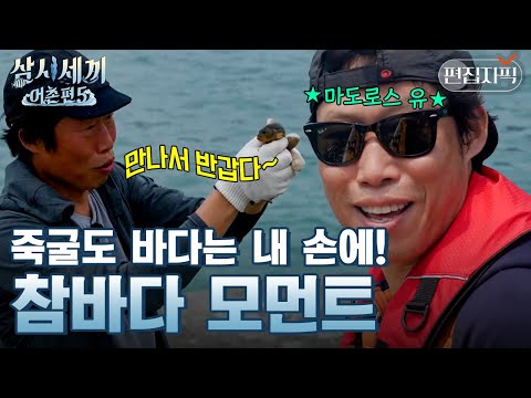 "대형 참돔" 제대로 낚은 유해진🐟 자신감 MAX 바다를 지배하는 참바다 | #삼시세끼어촌편5 #편집자픽