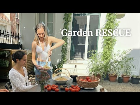 Oops! We Botched the Garden, then TIMELAPSED Our Way to SLOW LIVING Lunch