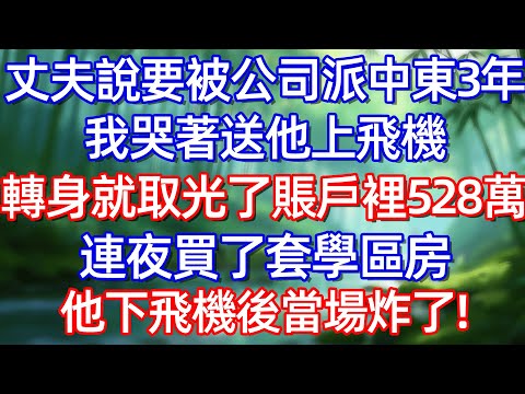 丈夫說要被公司派中東3年 我哭著送他上飛機 轉身就取光了賬戶裡528萬 連夜買了套學區房 他下飛機後當場炸了!#情感故事 #生活經驗  #為人處世  #老年生活#故事