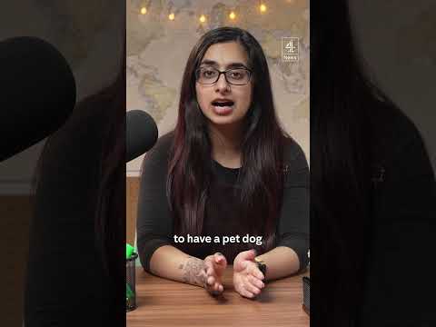 Why has Iran banned dog walking?